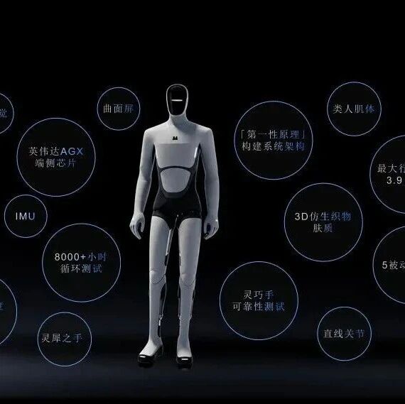 人形机器人，价格真崩了？