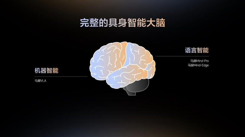 理想的具身智能走到了哪里？一颗芯片、一套大脑、一个新范式图2
