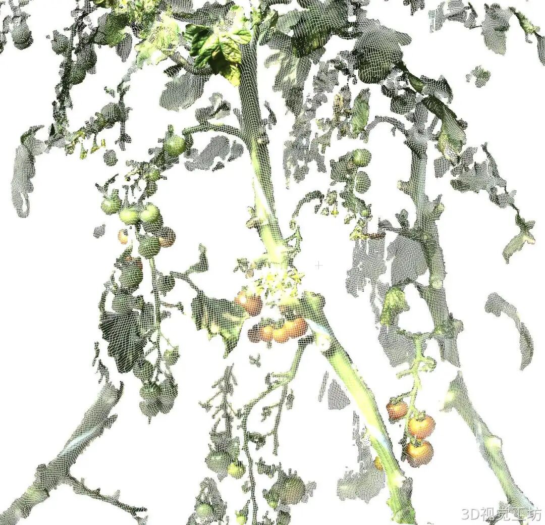 苏州三迪斯维！高精度3D结构光相机！支持机械臂抓取、视觉测量、焊接和户外场景！图116