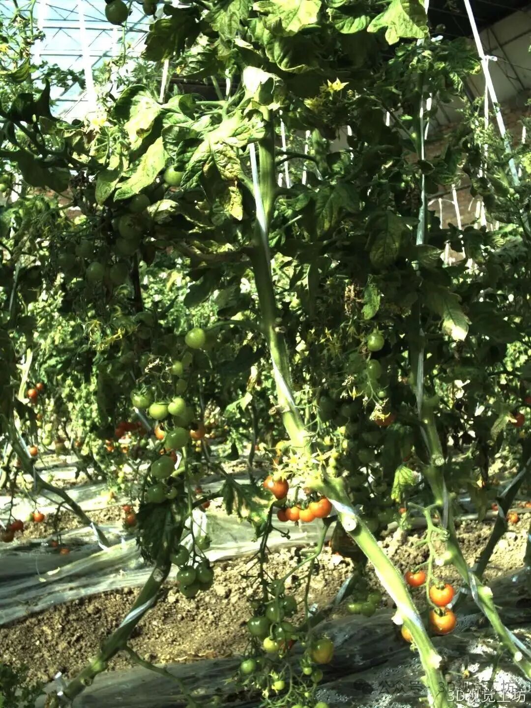 高精度3D结构光相机！支持机械臂抓取、视觉测量、焊接和户外场景！图114