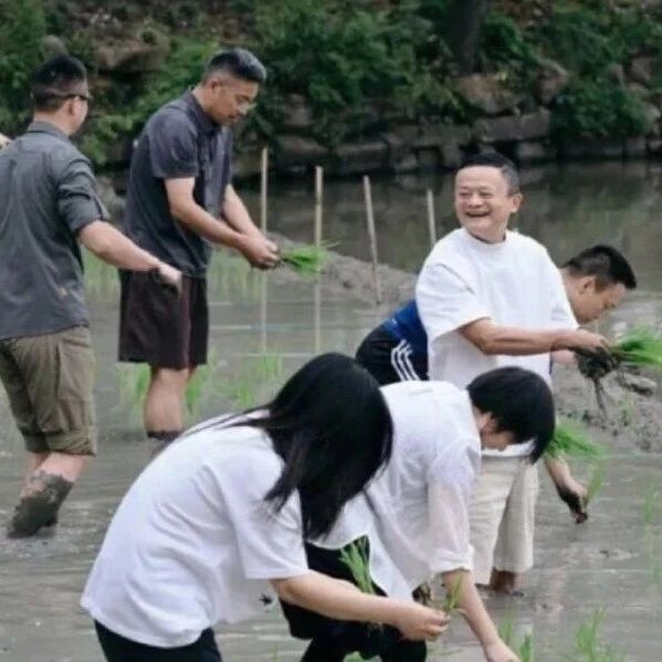 阿里高管集体下田插秧，忙了一上午才种半亩？网友：真人版「芭芭农场」实锤了；智谱市值超1万亿港元；乐道总裁：卖车比我考清华大学还难