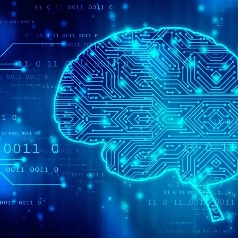 产业 | 刘国中调研南京大学脑机接口研究院