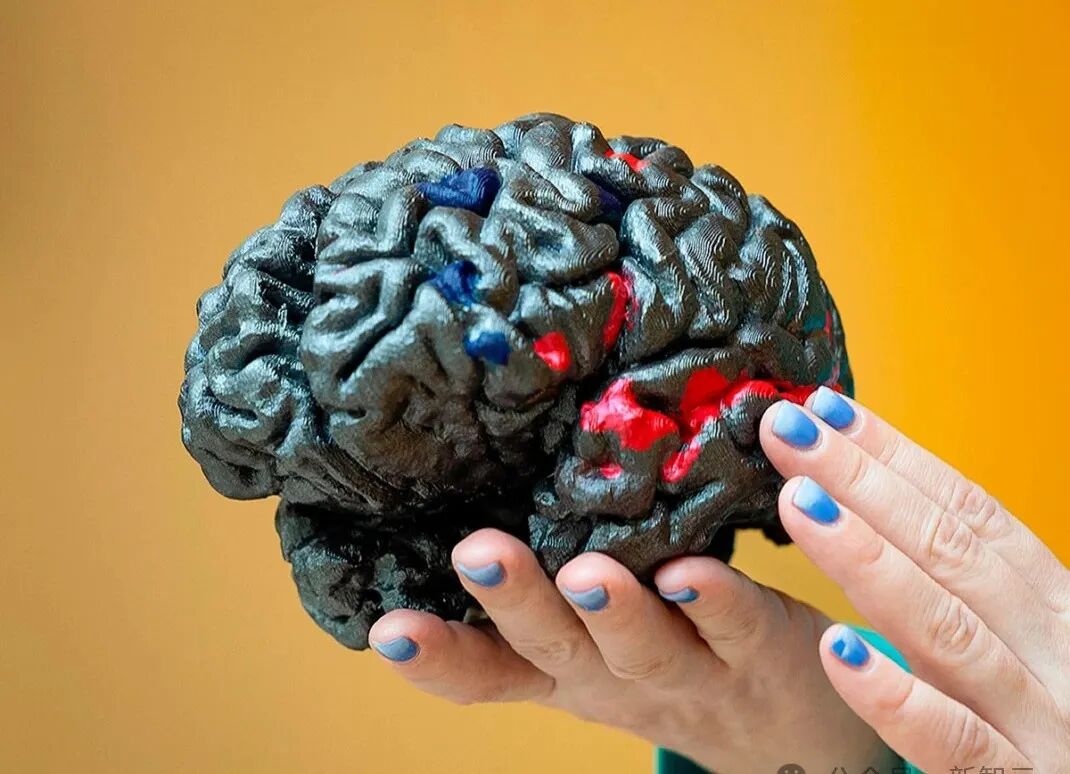 耗时15年、扫描1400个大脑！她发现了藏在人脑中的「生物版ChatGPT」图6