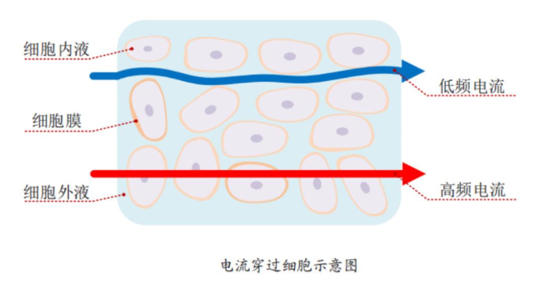 支付宝 AI “ 薅羊毛 ” 火了，这是啥操作？图11