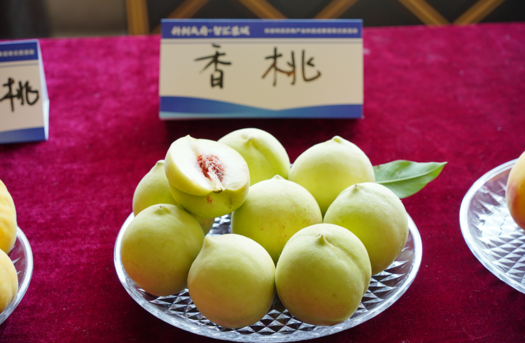 桃新品种发布，农户增收有了“芯”底气｜科创天府·智汇蓉城图31