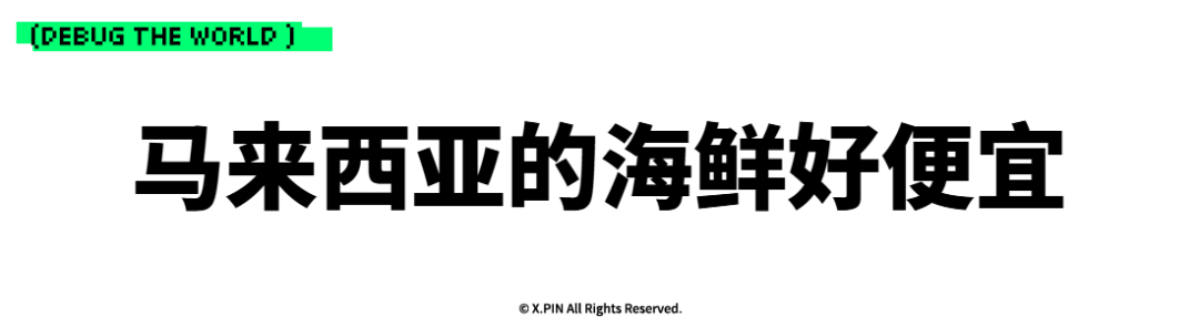特斯拉FSD转为订阅模式，苹果代工厂塔塔电子被黑，大疆锁定Pocket 4黄牛团队，李斌谈未来纯电车市场渗透率，这就是今天的其他大新闻！图16