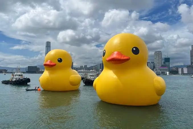 无处不在的：小黄鸭图1