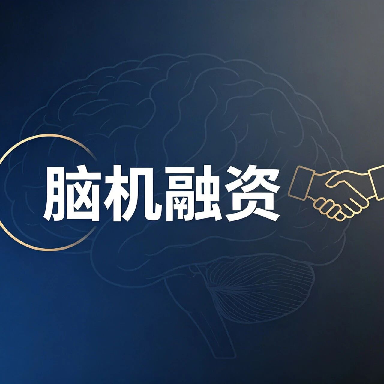 灵犀云融资近亿：脑机接口绕开硬件竞赛押注"大脑模型"，这合理吗？
