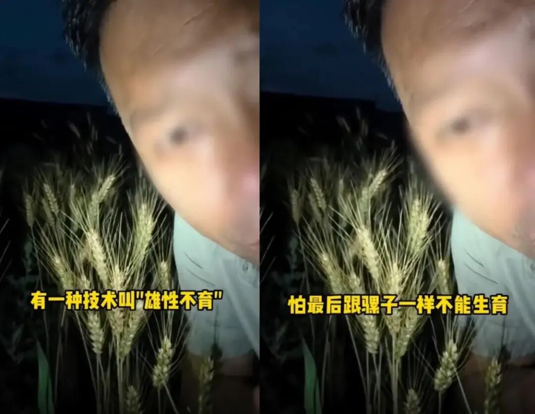 扛不住内存涨价！苹果游说美国政府，请求采购长鑫存储芯片；DeepSeek发布最新论文，梁文锋署名；美的真暖MAX上市，刷新中国热泵技术图8
