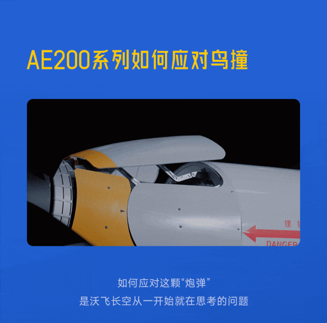从一颗「炮弹」到一道「考题」——鸟撞，航空界的大难题图4