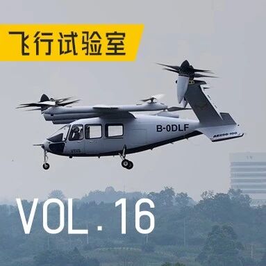 从一颗「炮弹」到一道「考题」——鸟撞，航空界的大难题
