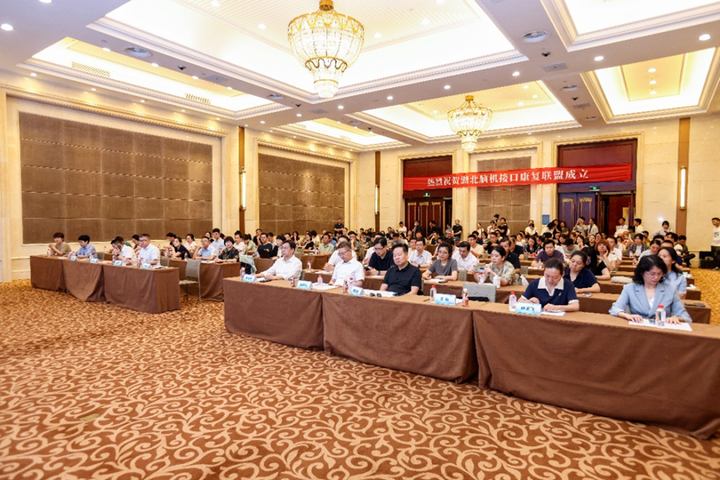 脑机接口月报(6月下):广东、安徽发布脑机接口五年行动计划,首例意识障碍植入完成图5