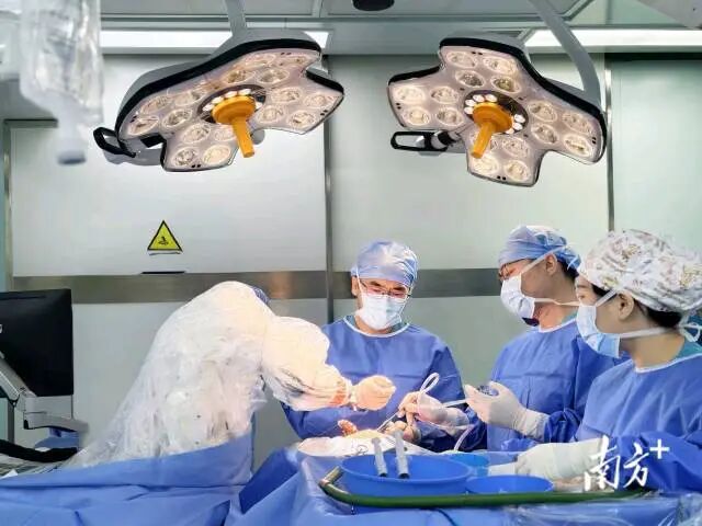 首批成员达124家！粤港澳大湾区脑机接口产业创新联盟成立图3
