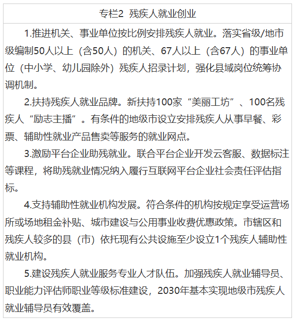 未来五年，我国这样完善残疾人服务保障体系图2