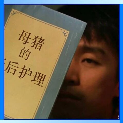 AI 的风还是吹到了猪圈