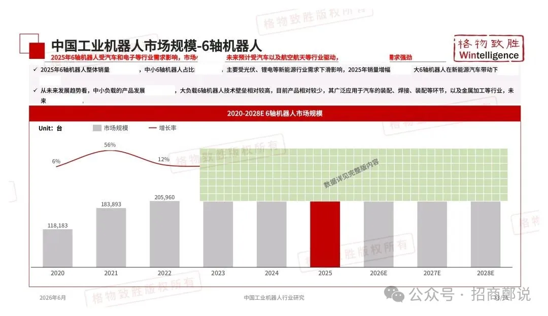 2026年中国工业机器人行业市场白皮书图31