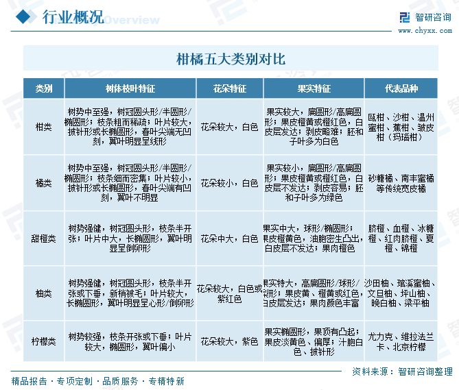 2026年中国柑橘行业供需现状、进出口贸易、竞争格局及趋势分析：企业主要分布在广西、湖南等柑橘主产区[图]图3