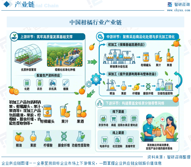 2026年中国柑橘行业供需现状、进出口贸易、竞争格局及趋势分析：企业主要分布在广西、湖南等柑橘主产区[图]图7