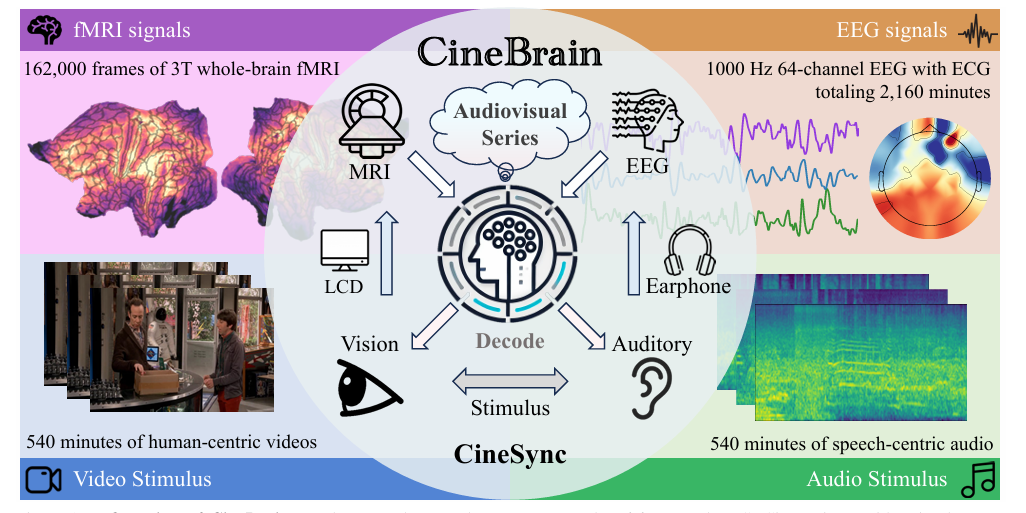 CVPR 2026 Oral | CineBrain:你的大脑不仅可以看到画面,还能"听出"画面图2