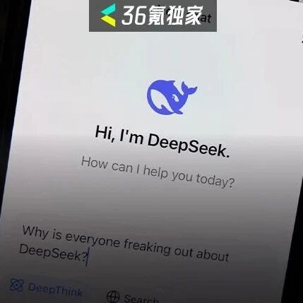 华为「天才少年」回应DeepSeek面试争议：想象中的「殿堂」，没能接住敬仰丨36氪独家