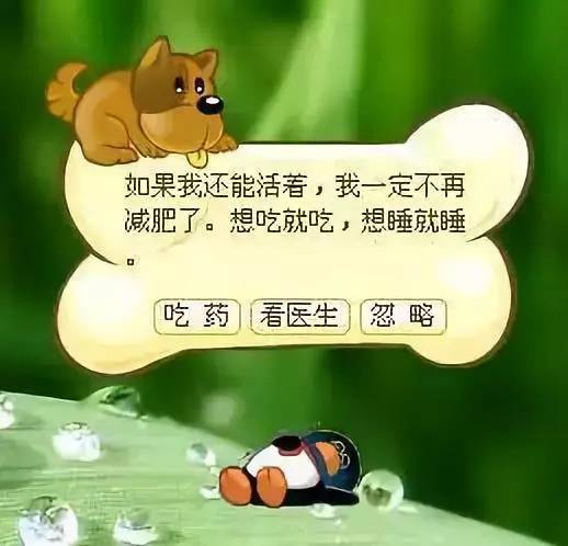 腾讯偷偷复活了QQ宠物,但它再也不会死了。图16