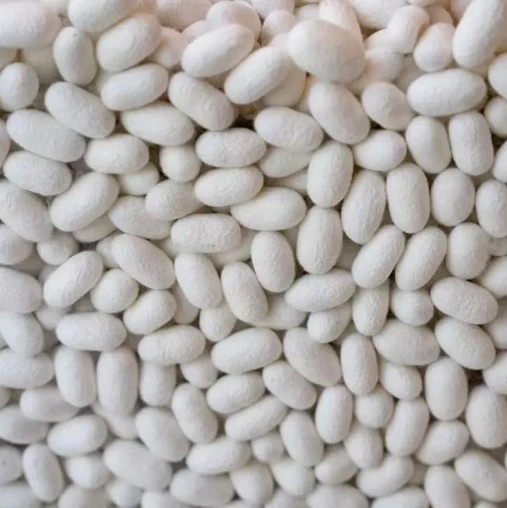【万千气象看四川】年产200多吨生丝90%出口欧洲，这家企业靠科技稳品质