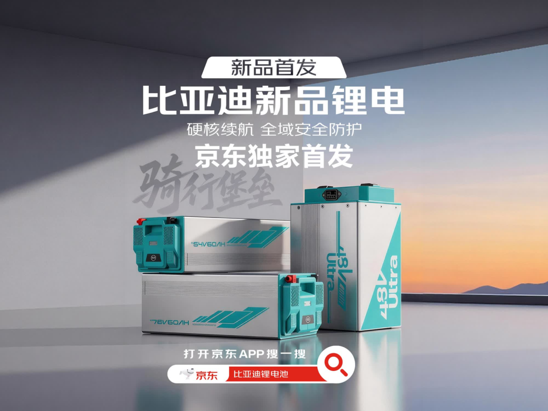 比亚迪发布多款电摩/电动自行车磷酸铁锂电池，最高寿命达10年图6