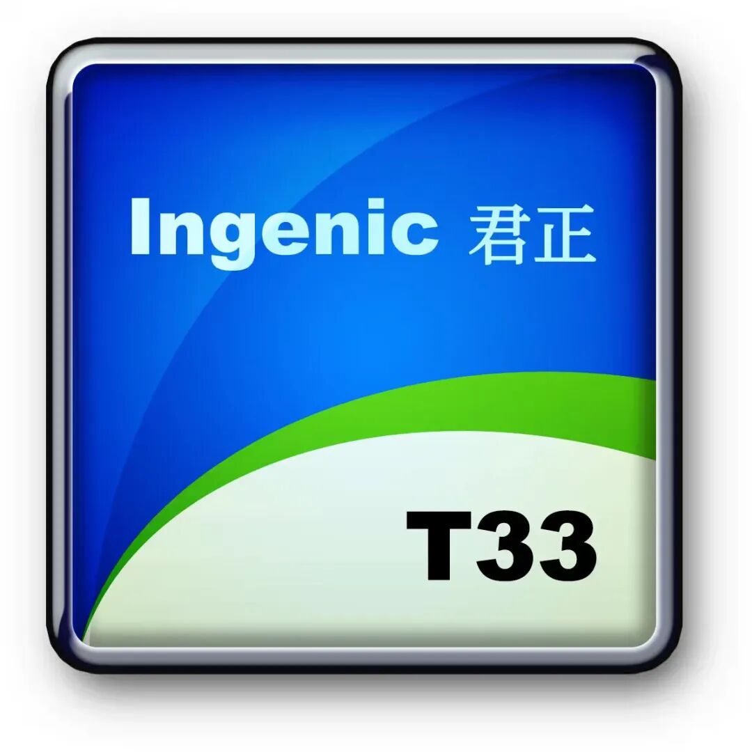 国产RISC-V芯片赛道企业一览图2