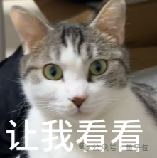刚刚,逐际动力放出一段Demo,Figure:睡不着啊图8