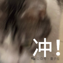 逐际动力再融2亿美元提速港股IPO,张巍:营收对赌不符合具身商业逻辑图6