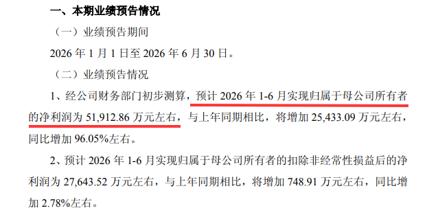 木林森、国星光电、东山精密等10企披露最新业绩预告图6