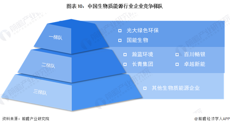 2026年中国生物质能源行业报告(极简版)图12