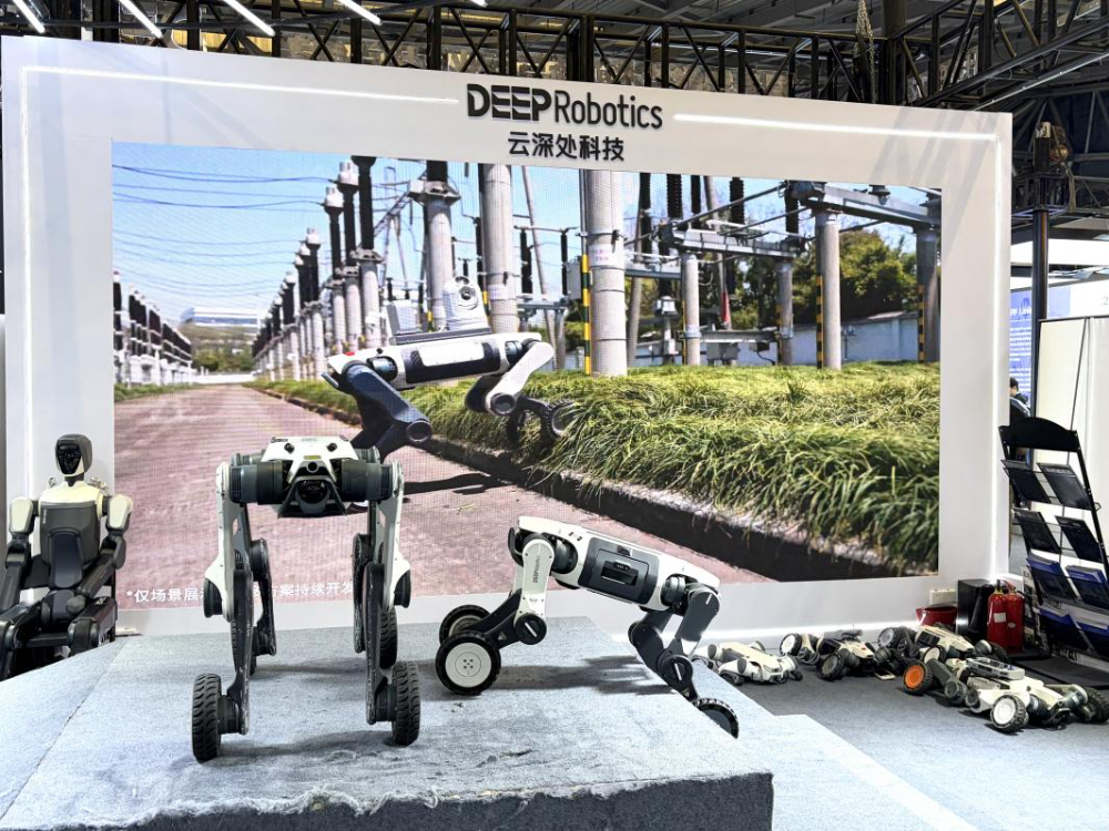 直击 WAIC 2026-小条直击WAIC 2026 ：中国AI创新齐“绽放”，机器人与AI算力成重头戏图7