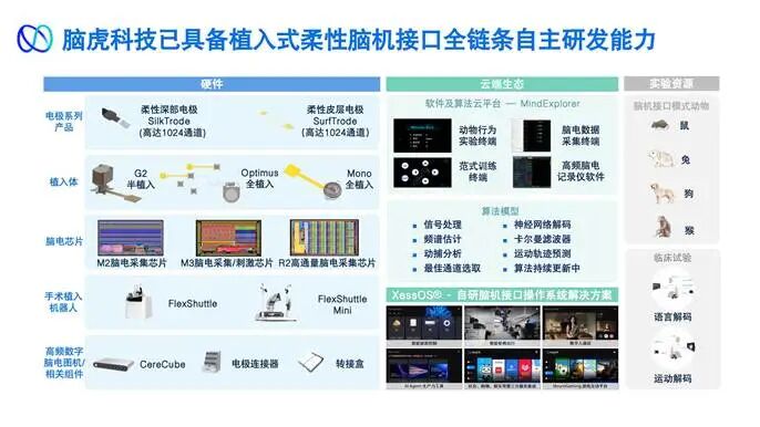 脑虎科技“三全”脑机接口系统成功冲进NMPA“绿色通道”,国内首个硬膜下植入式柔性方案强在哪?图5
