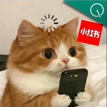 小红书大模型IMO满分夺金，第三题解法让冠军选手直呼优雅