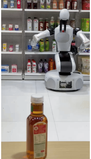 宁王稳定常态化应用，WAIC抗干扰封王：银河通用的高估值底气何来？｜甲子光年图17
