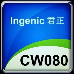 计算+存储+模拟三大支柱,北京君正打造全场景芯片解决方案图9