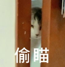 机器人为啥困在Demo?讯飞新公司爻方智能给出答案:缺一味「本体认知」图14