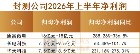 净利暴增744倍,半导体公司谁在疯狂吸金?图11