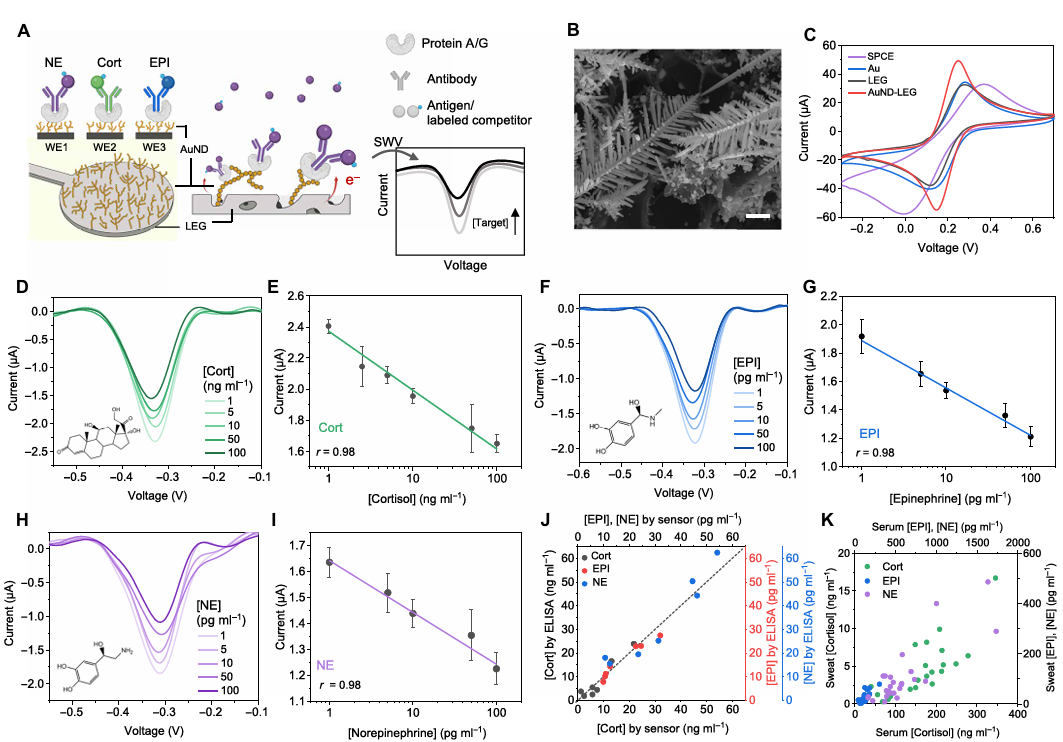 Sci Adv:Stressomic可穿戴微流控生物传感器,实现汗液中多种应激激素的实时动态监测图5