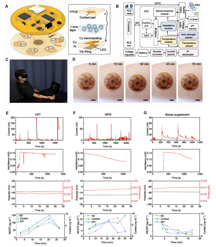 Sci Adv:Stressomic可穿戴微流控生物传感器,实现汗液中多种应激激素的实时动态监测图8