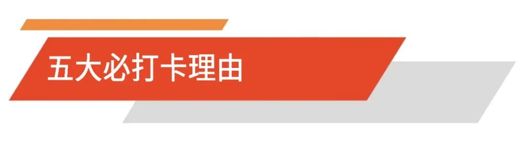 喵生博物馆｜魔都今夏必打卡的猫咪科普新地标图3