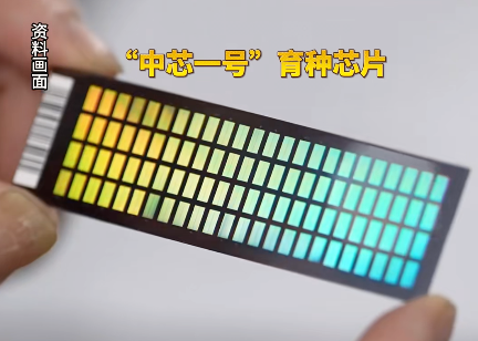 养猪也要用芯片,这玩意终于造出来了。图4