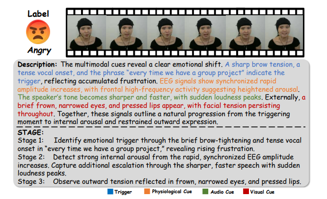 WWW 2026 | EEG“锚定”视听分析：PH-EMO框架实现人类认知的情绪推理图6