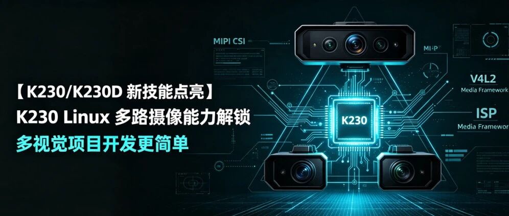 【K230/K230D 新技能点亮】K230 Linux 多路摄像能力解锁，多视觉项目开发更简单