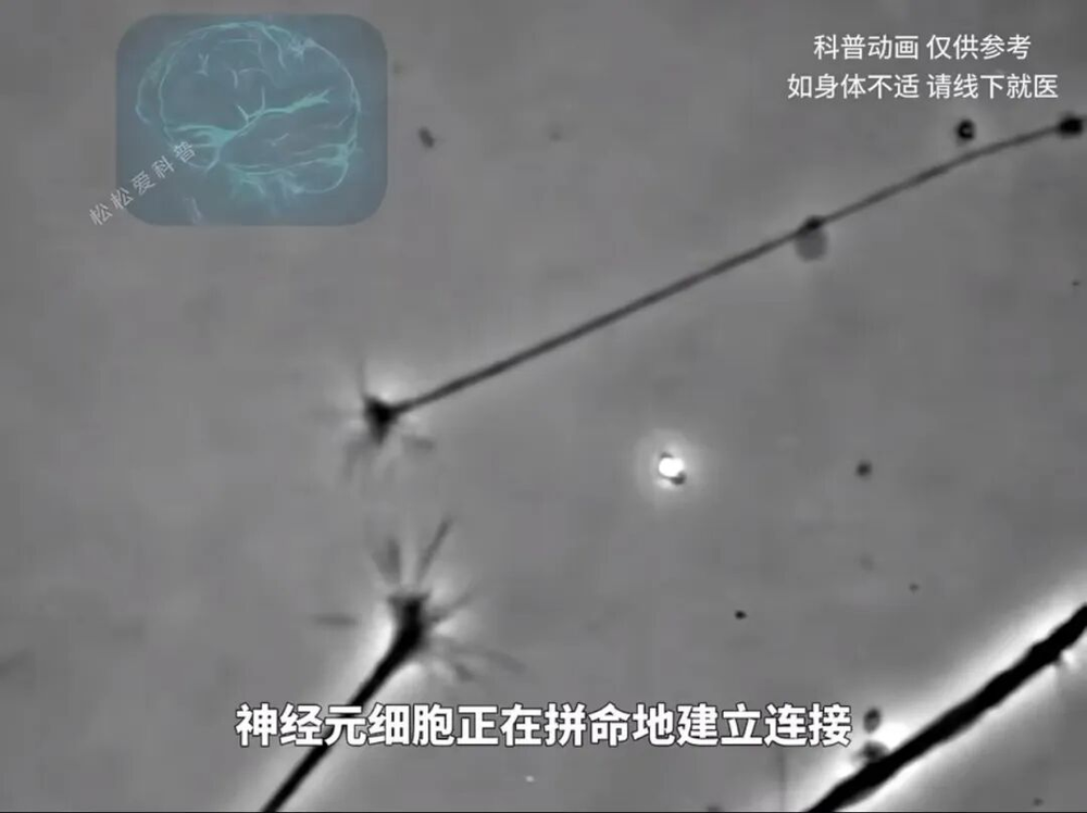 中产娃变笨的原因:预制教育图4