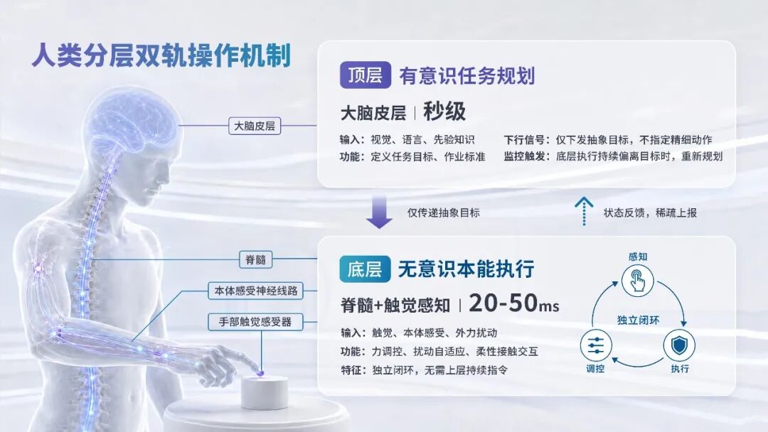以触觉为感知底座，橡木果要做具身操作领域的特斯拉图5