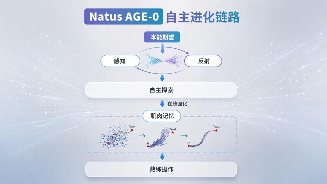 以触觉为感知底座，橡木果要做具身操作领域的特斯拉图8