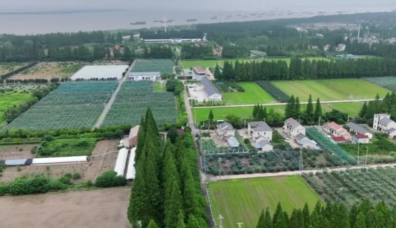 崇明这个低空经济产业综合体试运营丨低空应用图9