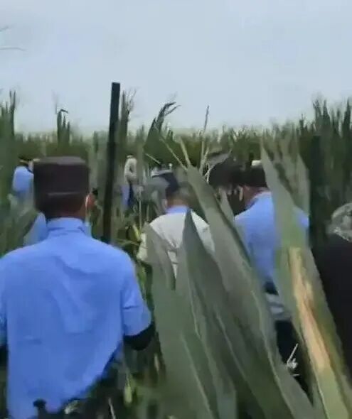 风起青萍末！西平“7·30”命案落幕，原来无人机热成像还有这么多讲究图3